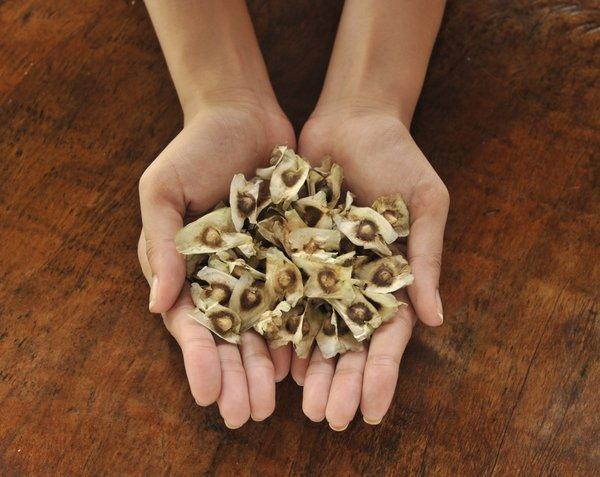 Neue Superfoods 2015 Neue Superfoods 2015