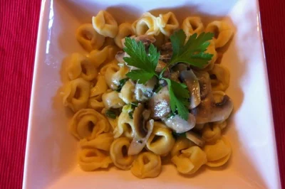 Rezept: Sahnesoße in verschiedenen Varianten