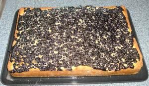 Heidelbeerkuchen mit Boden und Magerquark Rezept drucken Heidelbeerkuchen mit Boden und Magerquark Rezept drucken