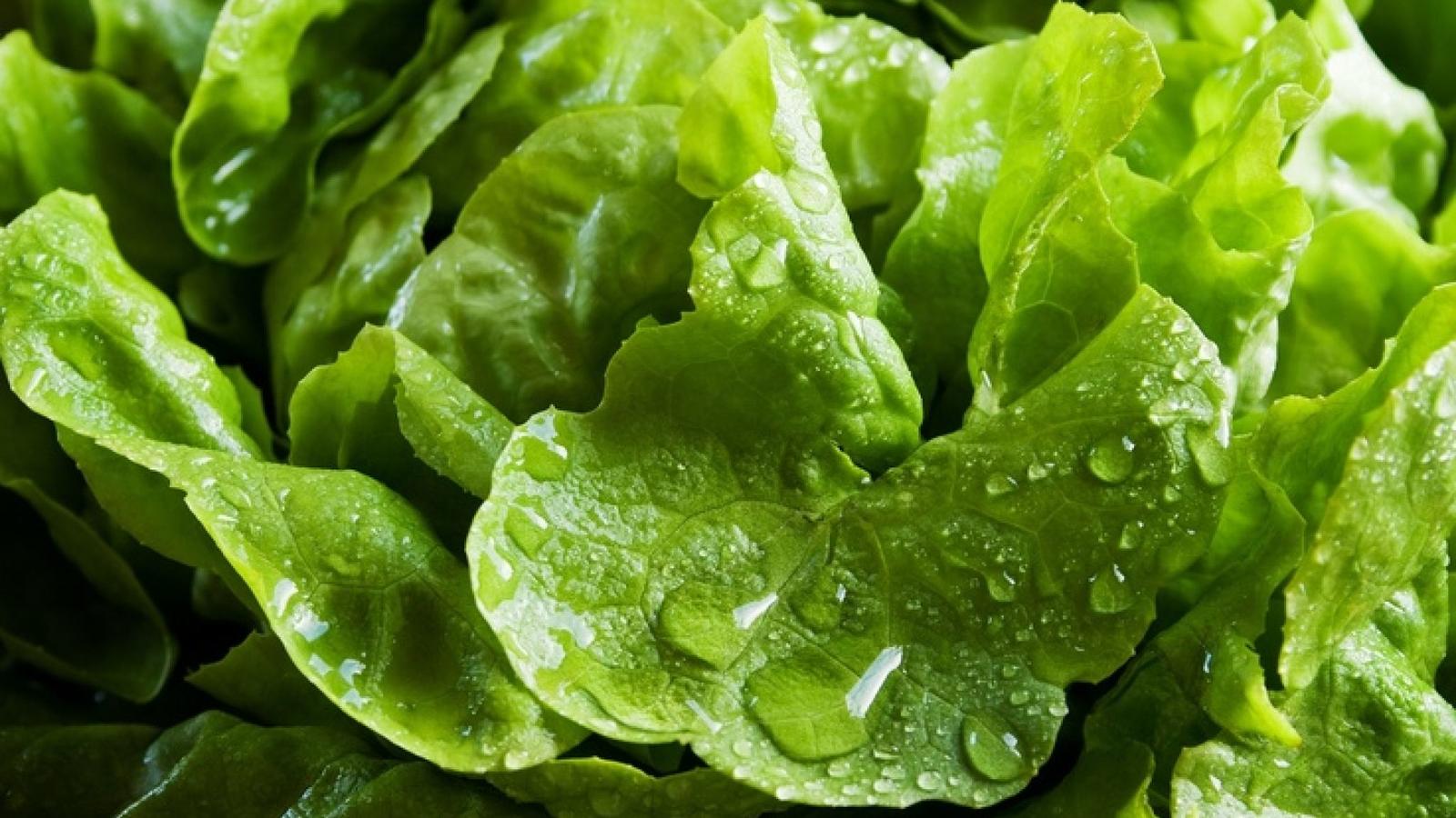 Das sind die 5 gesündesten Salatsorten - kochbar.de