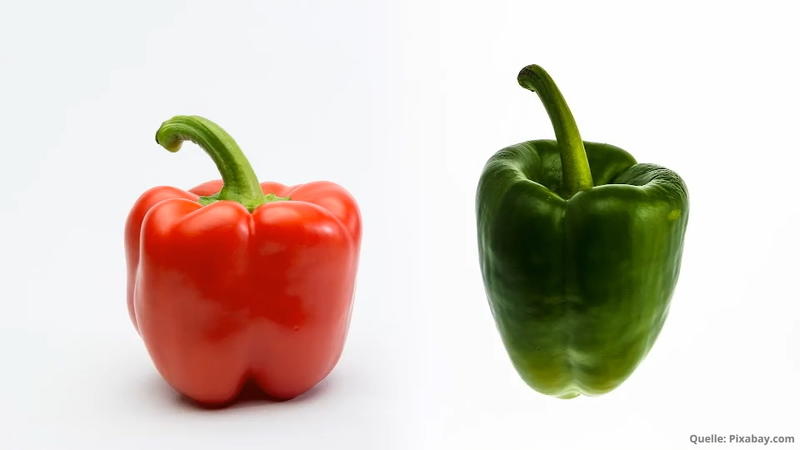 Hätten Sie es gewusst? Was ist der Unterschied zwischen roter und grüner Paprika?