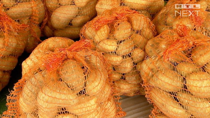 Natürliche Giftstoffe Deshalb können Kartoffeln schwere Probleme verursachen