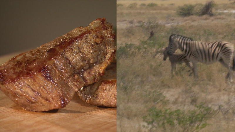 Zebrasteak