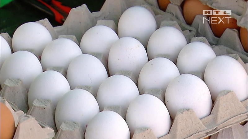 Salmonellen-Gefahr 5 Tipps: Eier richtig lagern und zubereiten
