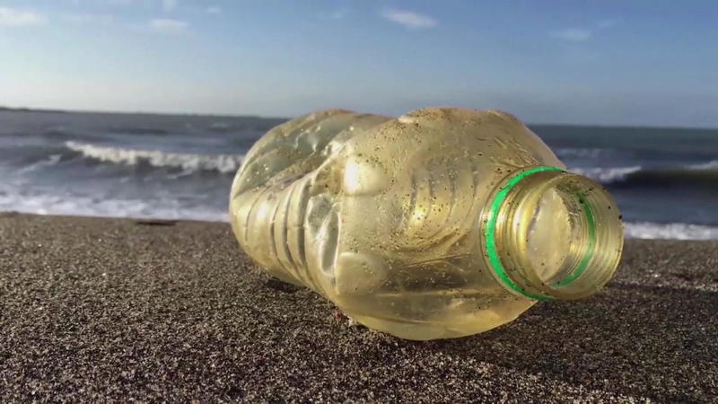 Bio-Gurke und Co. Supermärkte verbannen Plastik