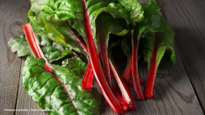 Gutes für den Körper Diese grünen Blattgemüse sind besonders gesund