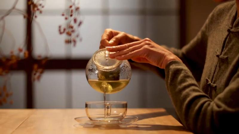 Gesundheitslexikon Grüner Tee: Das gesündeste Getränk der Welt