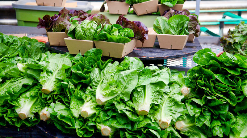 Gutes für den Körper Diese grünen Blattgemüse sind besonders gesund
