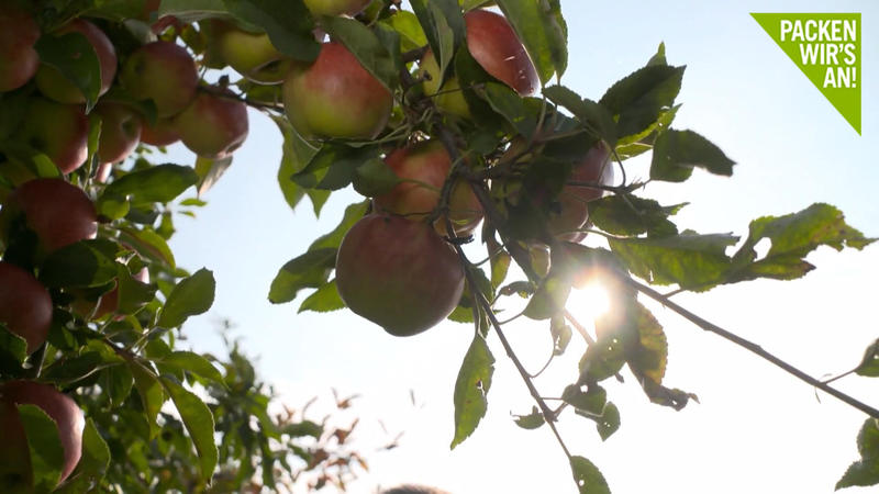 Ökologische Produkte Das steckt hinter Bio-Siegeln