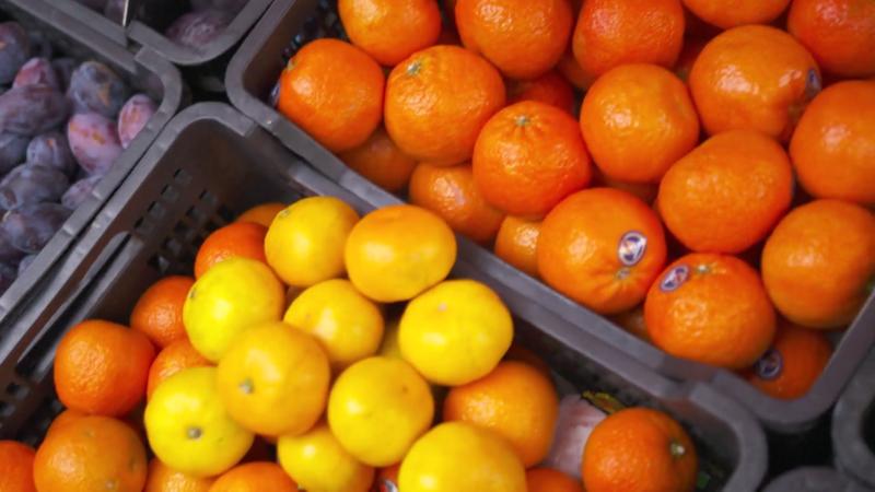 Das große Mandarinen-ABC So erkennen wir, welche Frucht lecker ist