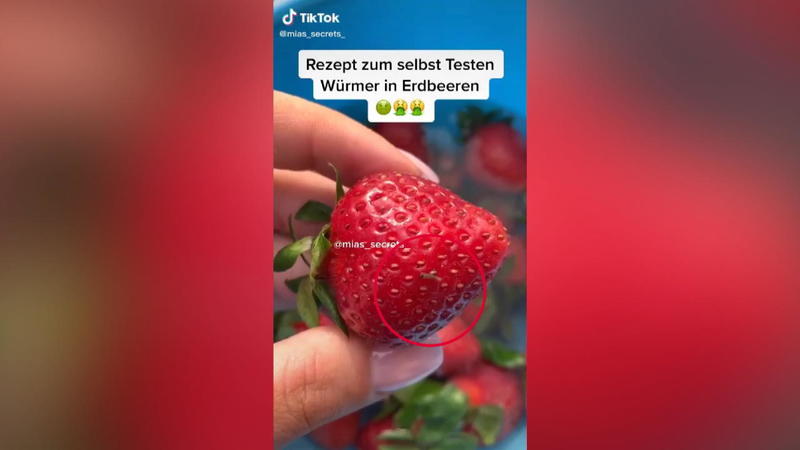 Salzwasser-Trick soll sie aus den Erdbeeren ziehen Essen wir mit Erdbeeren jedes Mal auch Larven?