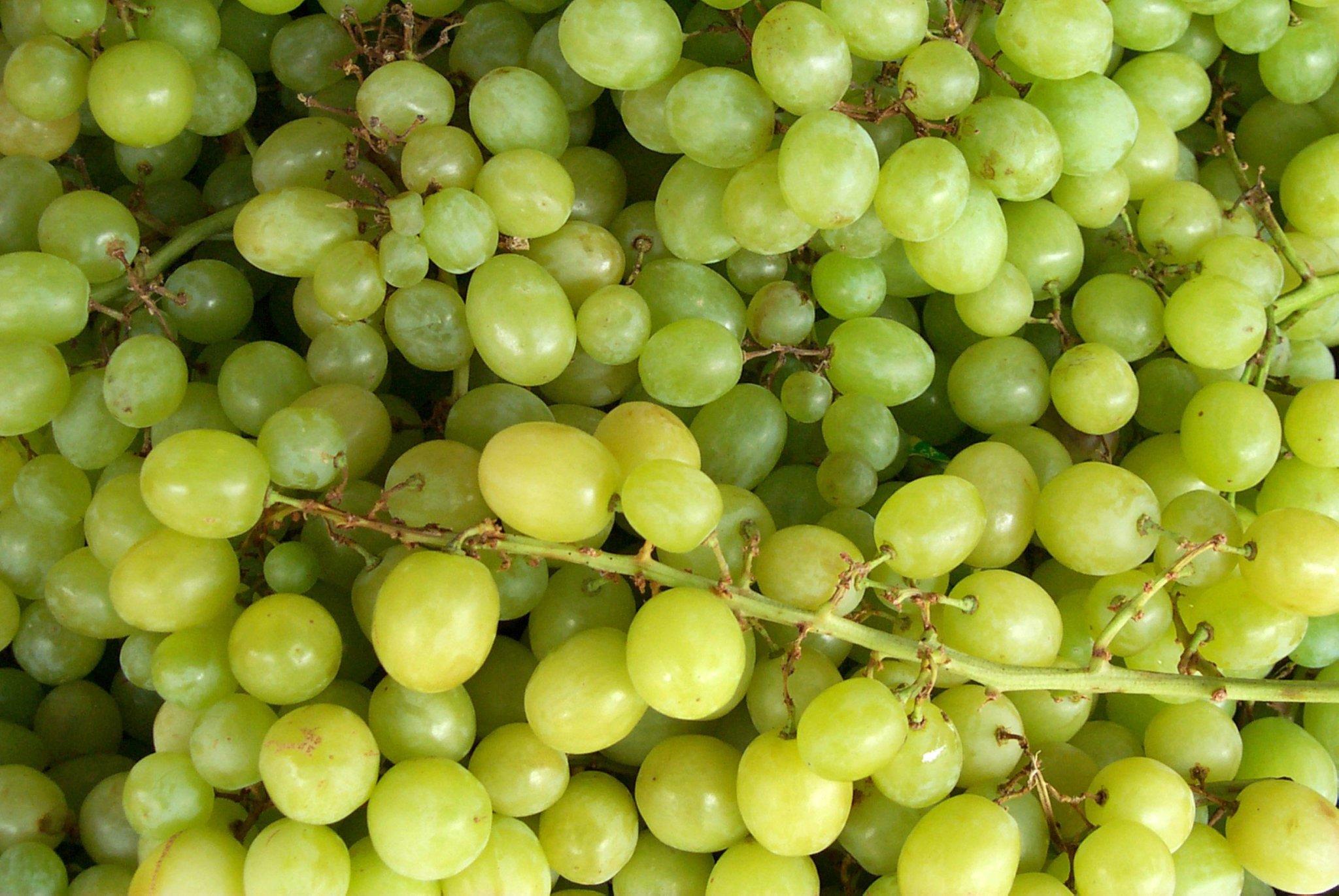 Frisches Obst erkennen Frisches Obst erkennen