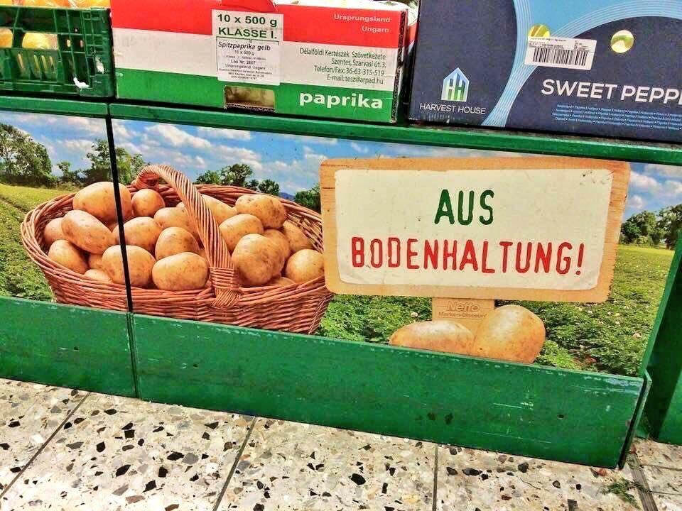 Lustige Bilder: Essen und Kochen Lustige Bilder: Essen und Kochen