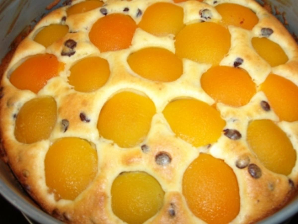 Schoko-Aprikosen-Torte - Rezept - Bild Nr. 6