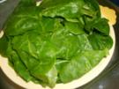 Spinat-Kartoffel-Auflauf - Rezept