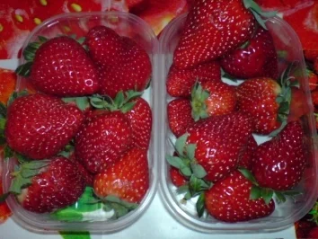 Schnelle Fürst-Pückler-Creme - Rezept