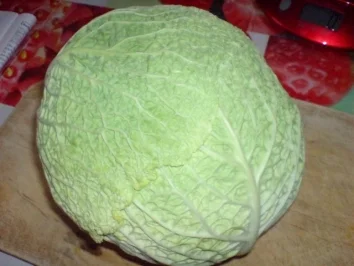 Rezept: Wirsingtorte Wirsingtorte - Rezept