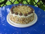 Gib-mir-die-Kugel-Torte - Rezept