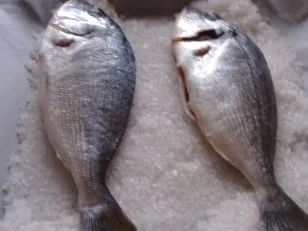 Fisch in der Salzkruste - Rezept - Bild Nr. 2