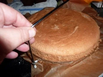 Rezept: Torten: Quark-Sahne-Torte Bild Nr. 7 Torten: Quark-Sahne-Torte - Rezept - Bild Nr. 7