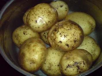 Sülzkotelett - Rezept - Bild Nr. 4