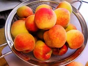 Rezept: Pfirsich-Creme Pfirsich-Creme - Rezept