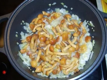 Rezept: Spagetti mit Pilzen und roten Linsen-Tomatensoße Spagetti mit Pilzen und roten Linsen-Tomatensoße - Rezept