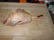 Gefüllte Ente - Rezept