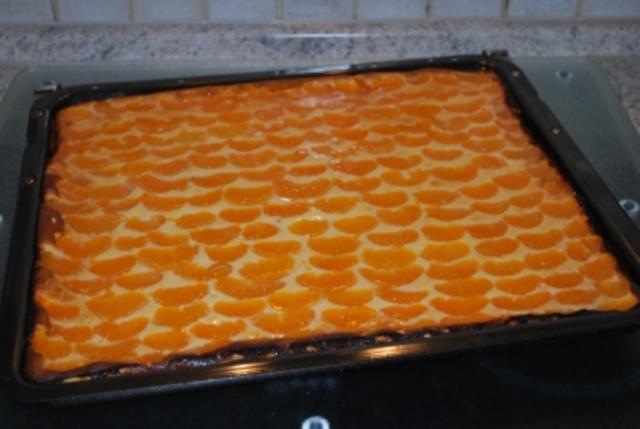 Annis Mandarin Quark Kuchen Vom Blech Rezept Kochbar De