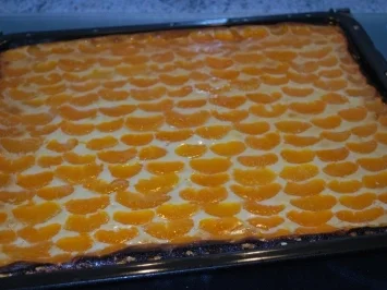 Rezept: Annis Mandarin-Quark-Kuchen vom Blech Annis Mandarin-Quark-Kuchen vom Blech - Rezept