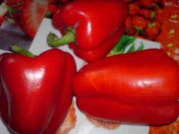 Saure Paprikaröllchen - Rezept - Bild Nr. 3