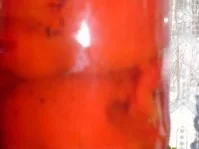 Saure Paprikaröllchen - Rezept - Bild Nr. 4