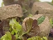 Rezept: Paté de campagne Bild Nr. 9 Paté de campagne - Rezept - Bild Nr. 9