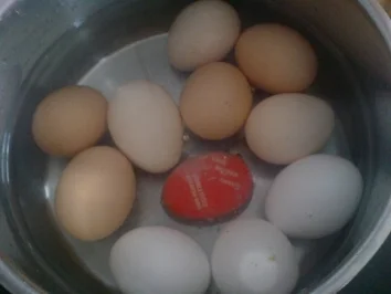 Rezept: Sahniges Eier-Ragout mit Schnittlauch Sahniges Eier-Ragout mit Schnittlauch - Rezept