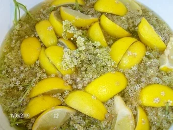 Holunderblütengelee a la Claudi - Rezept - Bild Nr. 2