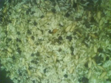 Gefüllte Weinblätter Türkische Art - Rezept - Bild Nr. 4