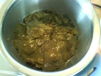 Gefüllte Weinblätter Türkische Art - Rezept - Bild Nr. 8