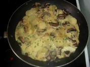 Champignontortilla - Rezept