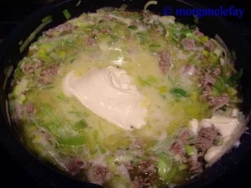 Lauch-Hackfleisch-Suppe - Rezept - Bild Nr. 10