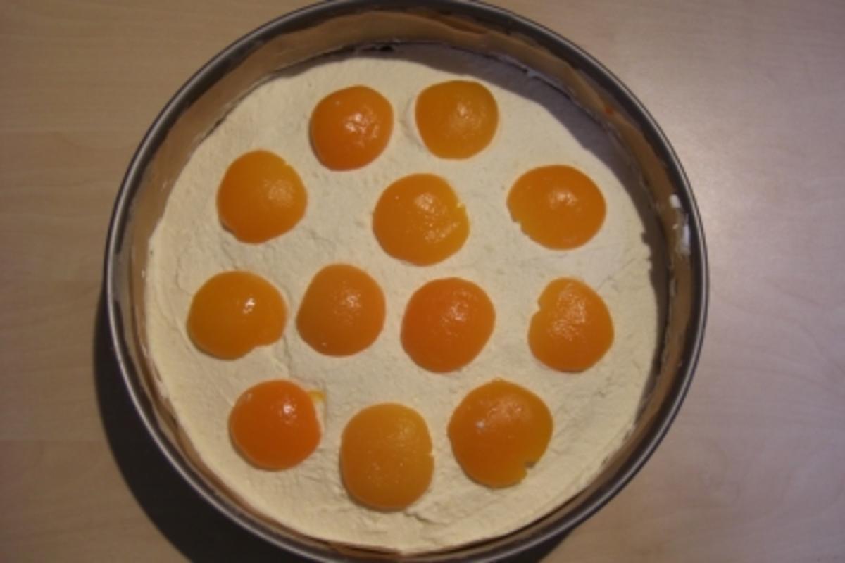 Mohn-Aprikosen-Sahne-Torte  *Backwaren - Rezept