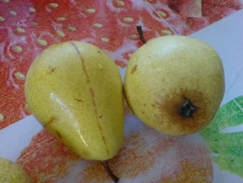 Knusprige Birnentörtchen - Rezept - Bild Nr. 5