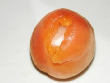 Topfenmarillenknödel (ohne Brösel) - Rezept - Bild Nr. 4