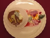 Bananeneis auf Schoko-Zimtsoße und Rosenquarkpraline mit Granatapfelsoße - Rezept