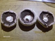 Champignon-Köpfe verschmelzen mit der Füllung - Rezept