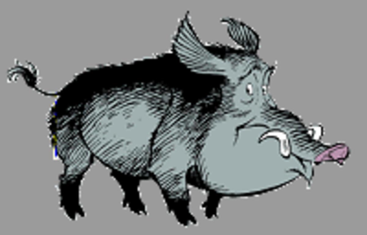 Gebratenes Wildschwein a`la Asterix - Rezept - Bild Nr. 3