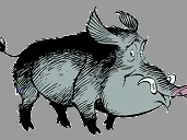 Gebratenes Wildschwein a`la Asterix - Rezept - Bild Nr. 3