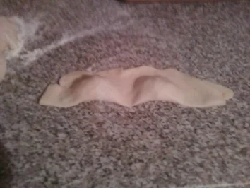 Rezept: gefüllte nudeln in butter milch-minze sauce gefüllte nudeln in butter milch-minze sauce - Rezept