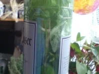 Rezept: Basilikumlikör Bild Nr. 7 Basilikumlikör - Rezept - Bild Nr. 7