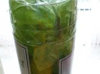 Rezept: Basilikumlikör Bild Nr. 8 Basilikumlikör - Rezept - Bild Nr. 8