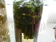 Rezept: Basilikumlikör Bild Nr. 10 Basilikumlikör - Rezept - Bild Nr. 10